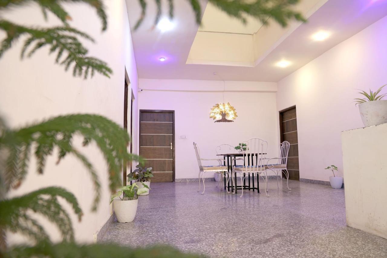 Hotel Tree Of Heaven Udaipur Exterior foto